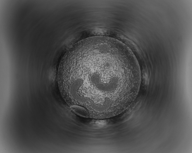 X0000093410665200710121118