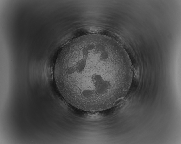 X0000093410666200710121118