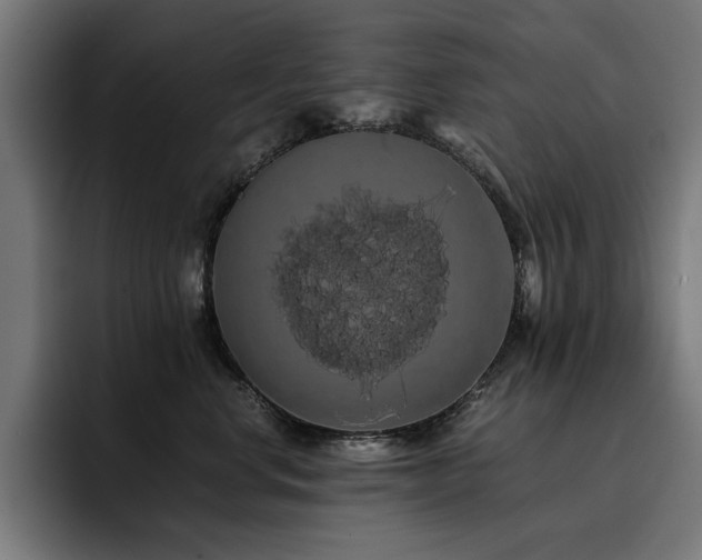 X0000093410668200710121118