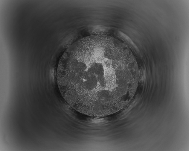 X0000093410669200710121118