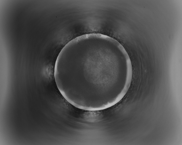 X0000093410672200710121118