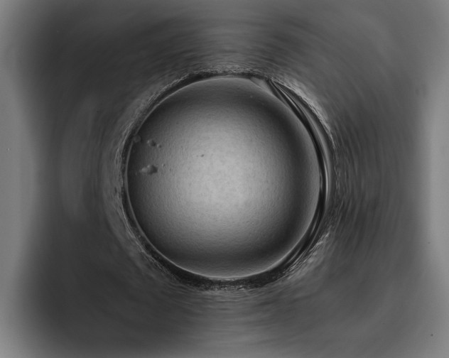 X0000093410673200710121118