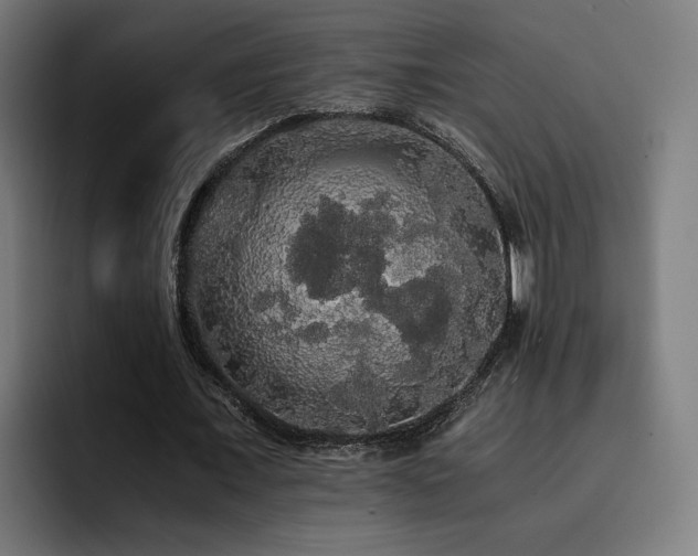 X0000093410675200710121117
