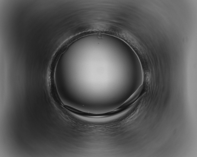 X0000093410676200710121117