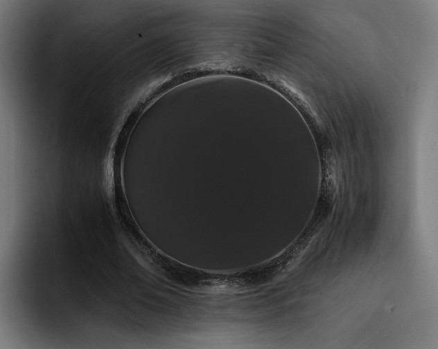 X0000093410678200710121117