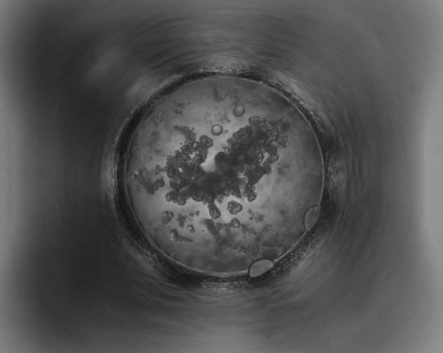 X0000093410679200710121117