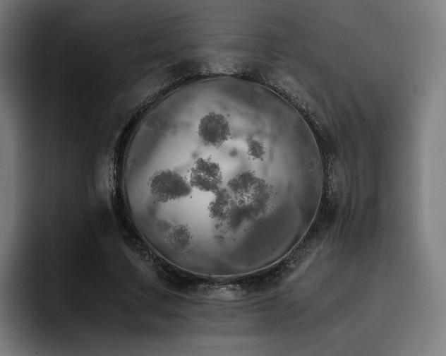 X0000093410683200710121117