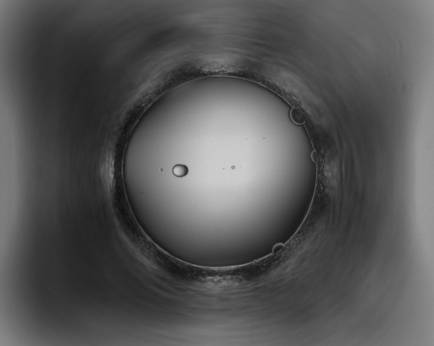 X0000093410686200710121117