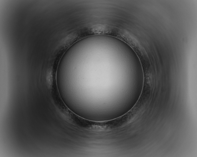 X0000093410690200710121117