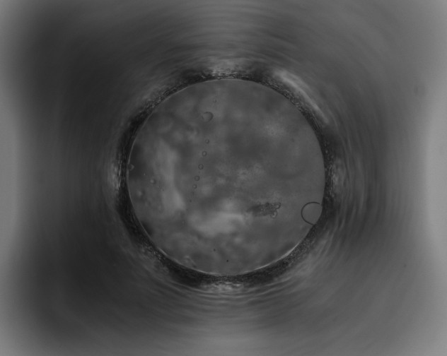 X0000093410691200710121117