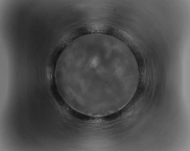 X0000093410695200710121117