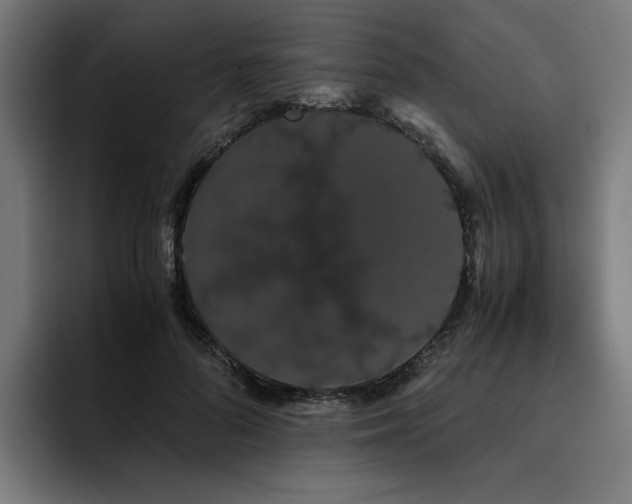 X0000093410696200710121117