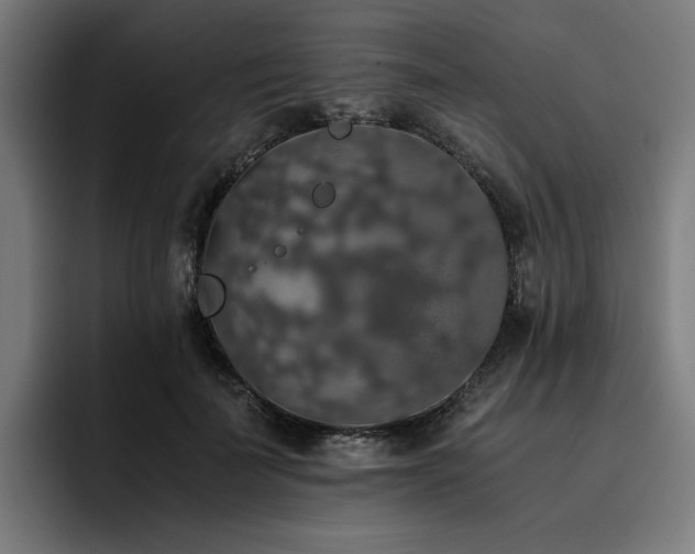 X0000093410699200710121117