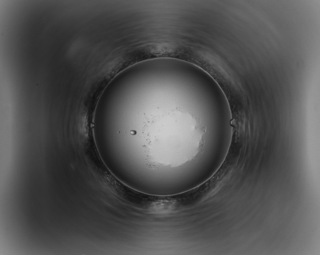 X0000093410700200710121117