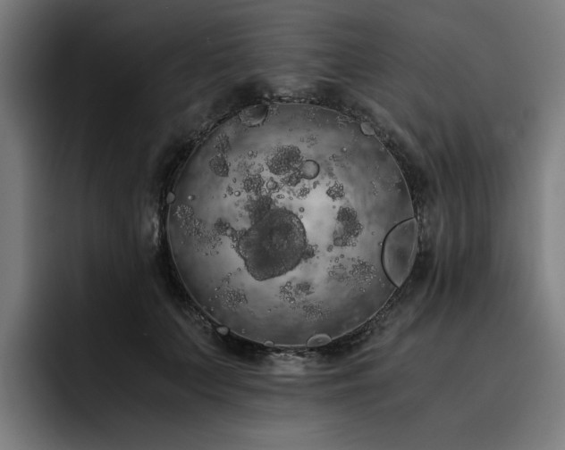 X0000093410703200710121117