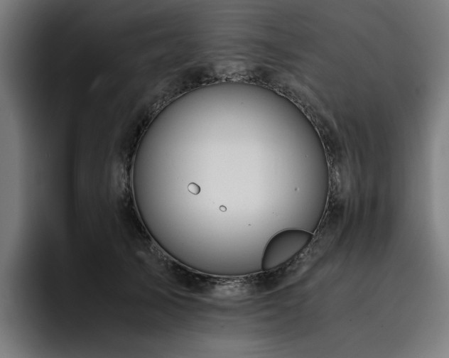 X0000093410705200710121117