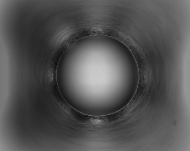 X0000093410706200710121117