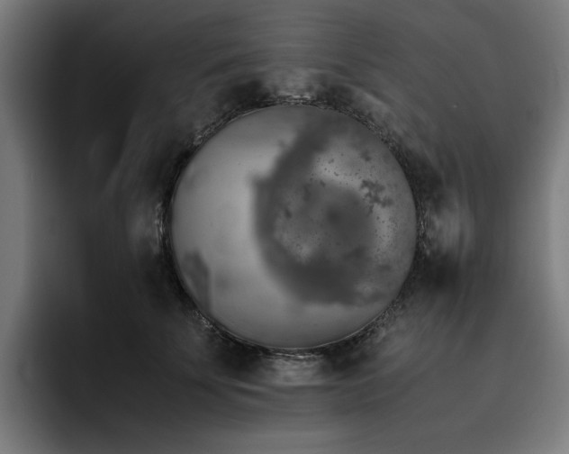 X0000093410707200710121117