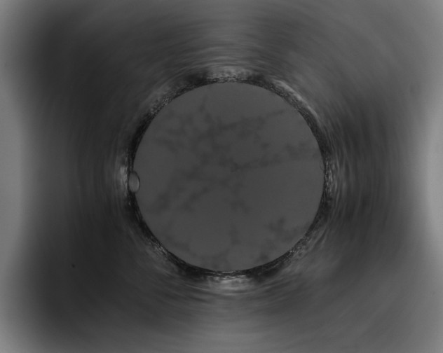 X0000093410716200710121117
