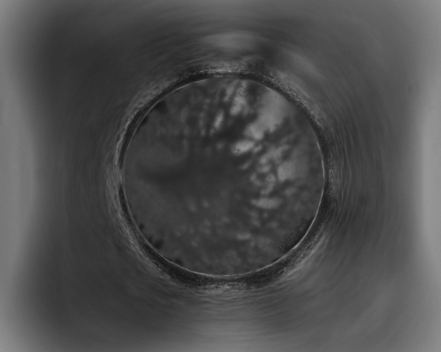 X0000093410721200710121116