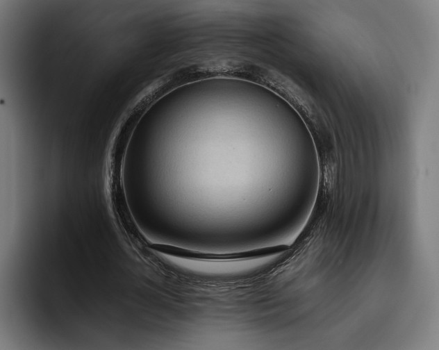 X0000093410724200710121116