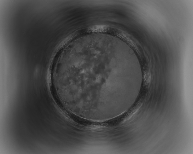 X0000093410725200710121116