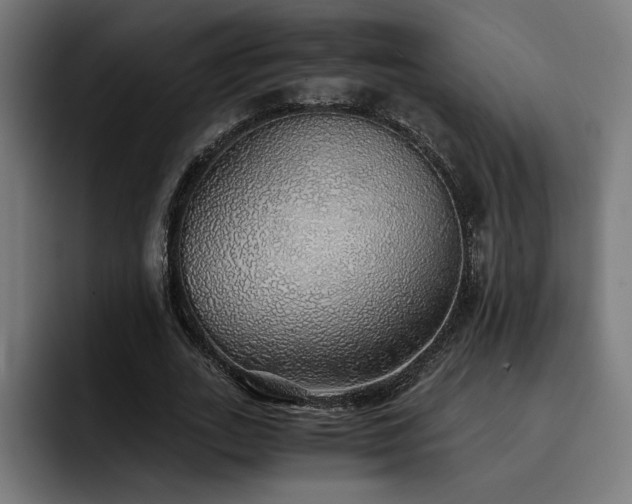 X0000093410727200710121116