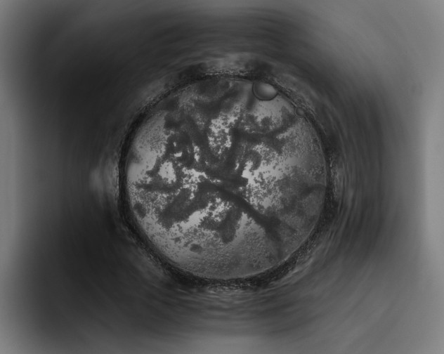 X0000093410729200710121116