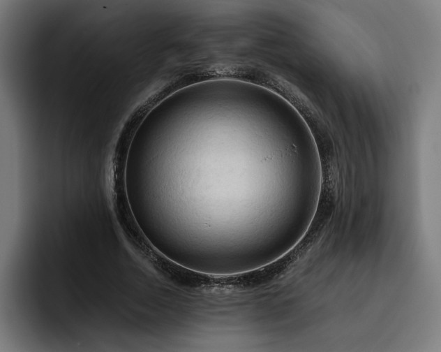 X0000093410730200710121117