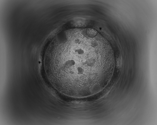 X0000093410733200710121117