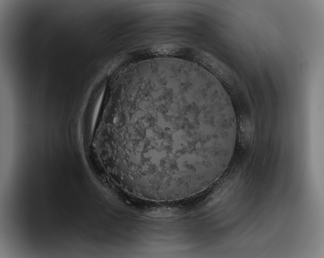 X0000093410734200710121117