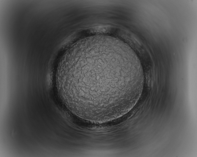 X0000093410735200710121117