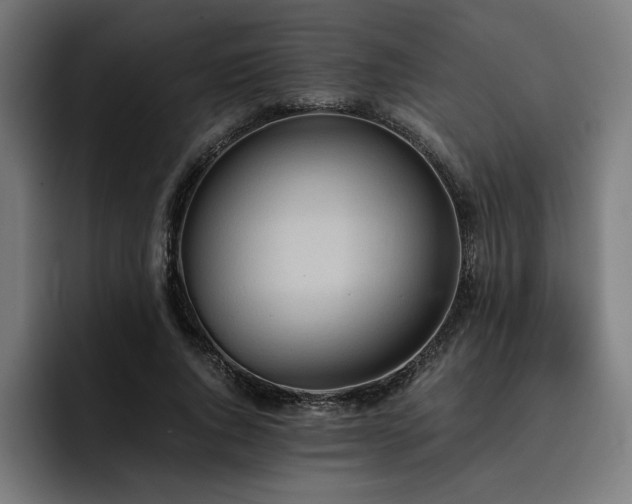 X0000093410736200710121117