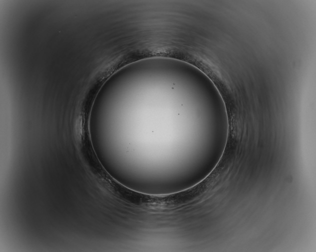 X0000093410740200710121117
