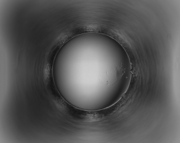 X0000093410744200710121117