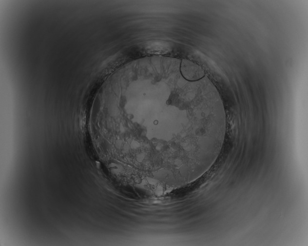 X0000093410745200710121117