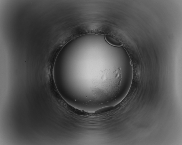 X0000093410746200710121117