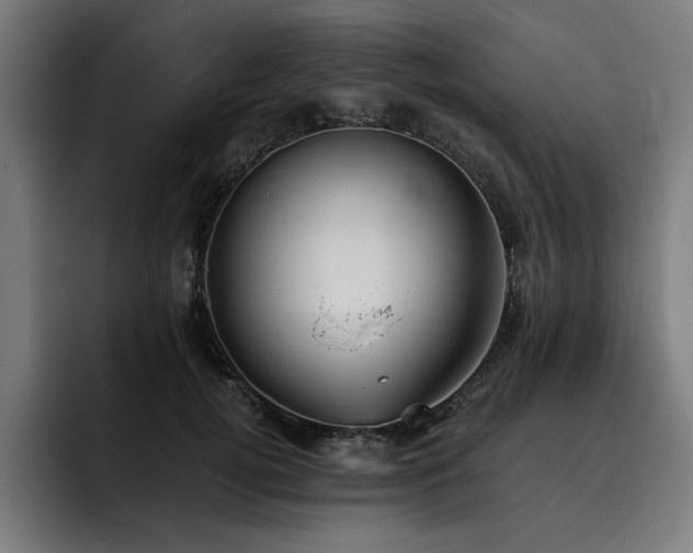 X0000093410752200710121117