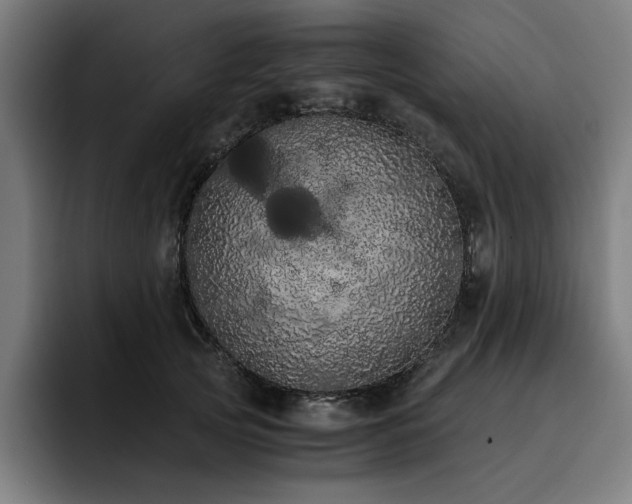 X0000093410753200710121117