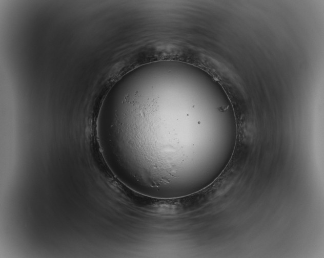 X0000093410756200710121117