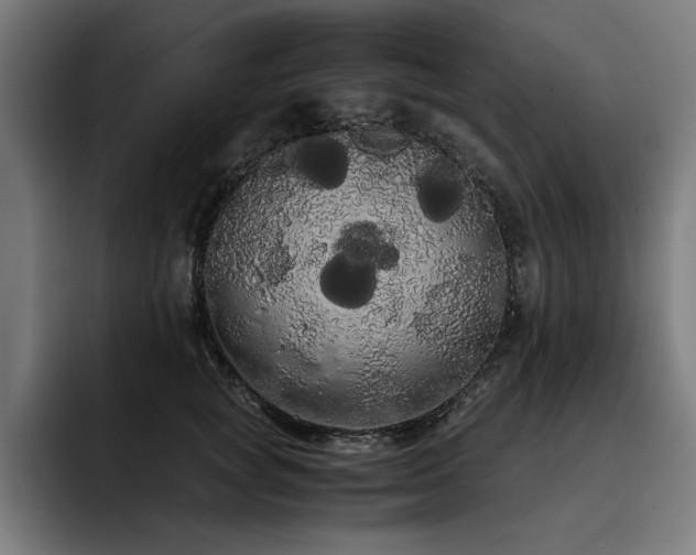 X0000093410757200710121117