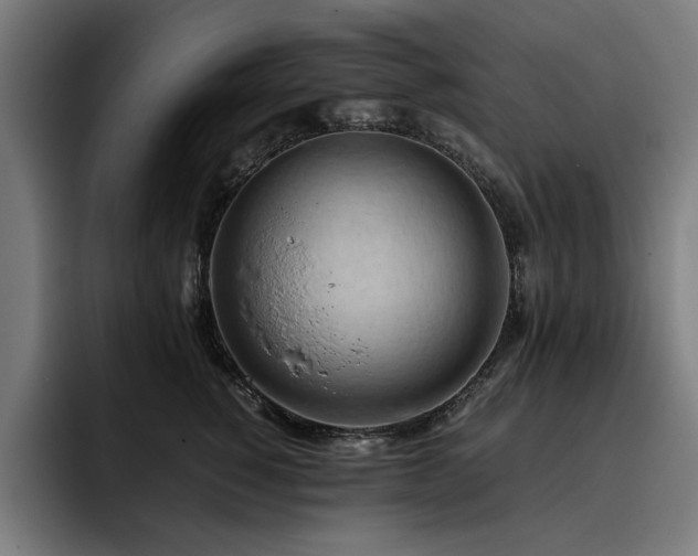X0000093410760200710121117