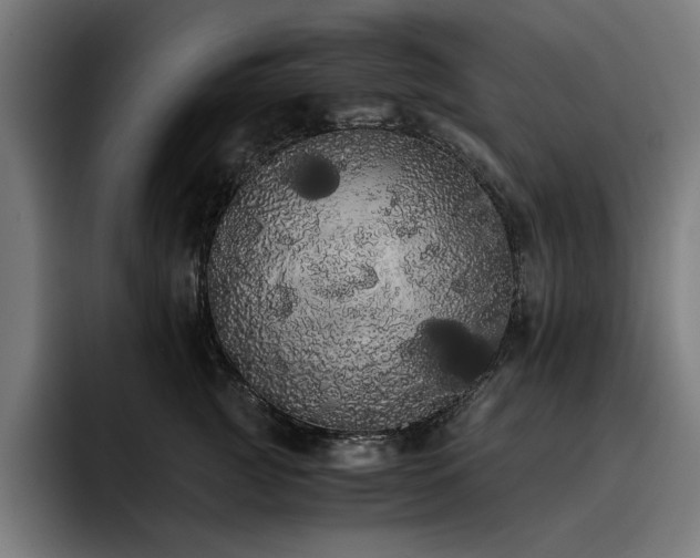 X0000093410761200710121117