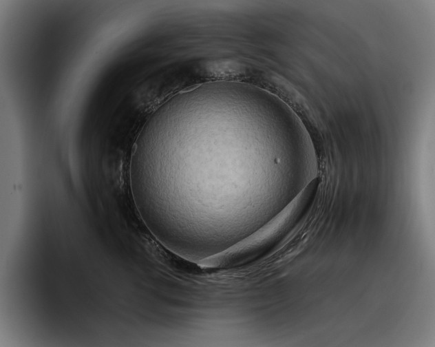 X0000093410762200710121117