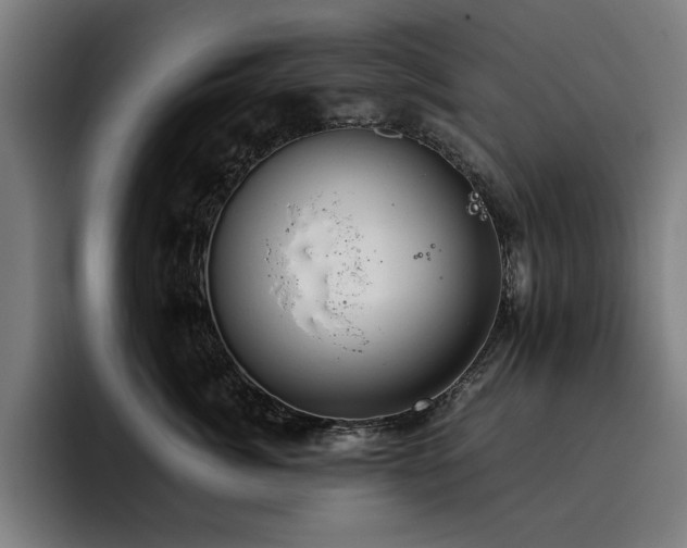 X0000093410764200710121117
