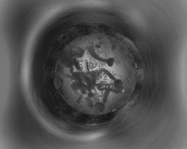 X0000093410765200710121117