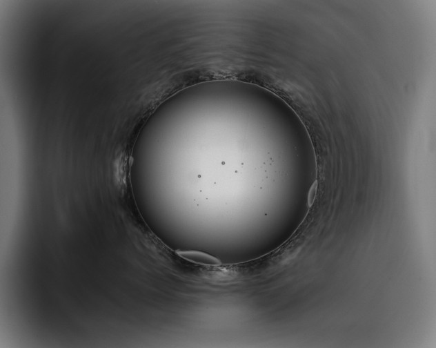 X0000093410768200710121117