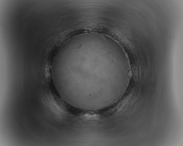 X0000093410770200710121116