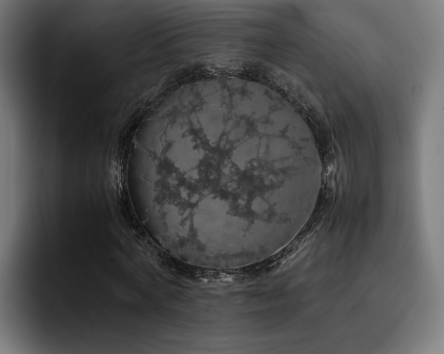 X0000093410772200710121116