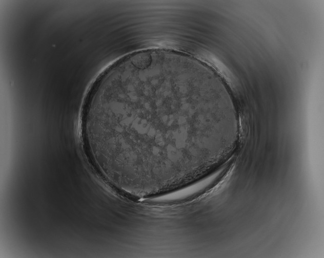X0000093410780200710121116